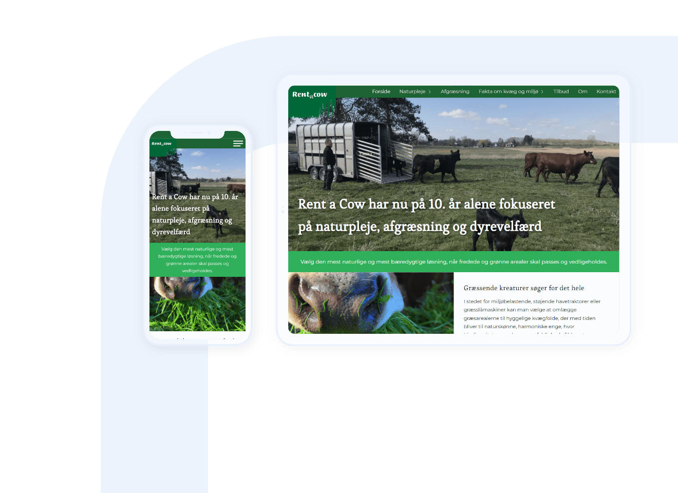 Preview of our WordPress website design for Rent a Cow.